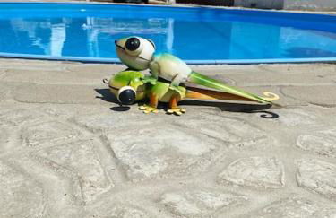 Storchennest - Foto 4