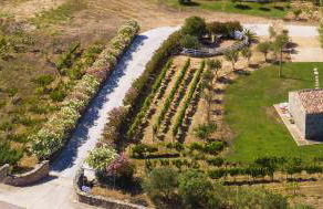 La Littighedda Country Residence - Photo 16