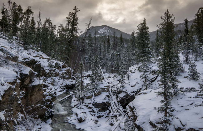 Rocky Mountains Snowshoe Tour - Photo 2