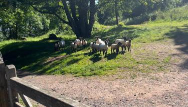Cosy Studio on the Mendip Way - Foto 3