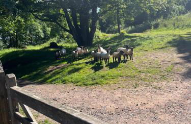 Cosy Studio on the Mendip Way - Foto 3