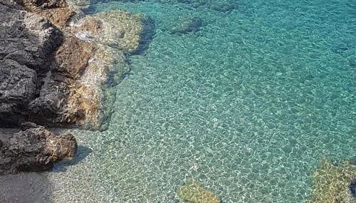 Rosa dei Venti Est - Foto 3