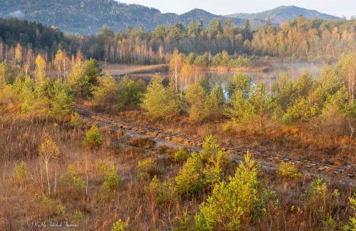 Landhaus Fürberger - Foto 73