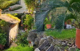 Casa Vacanze Fontanelle - Photo 9