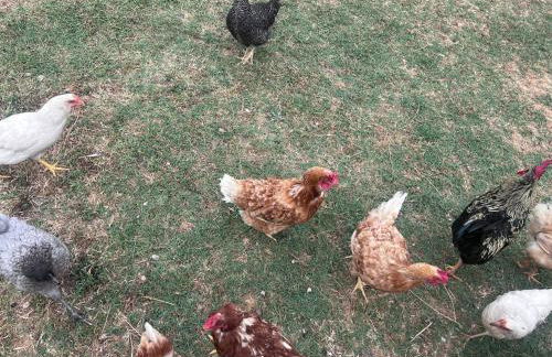 Herdade dos Sepol - Foto 22