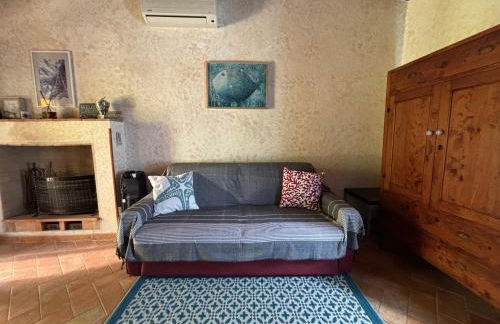 Il polpo blu - Foto 44