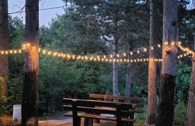 Koti Mountain House - Photo 22