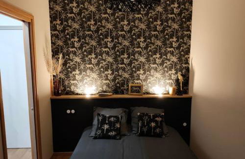 Superbe T2 neuf dans maison de maitre hyper centre - Foto 11