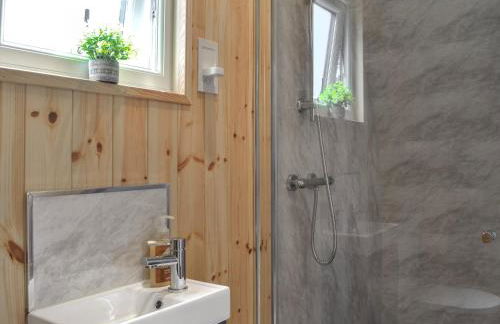 Sycamore - Uk47621 - Foto 12