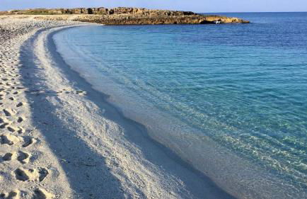 Ciusa Apartment - Foto 18