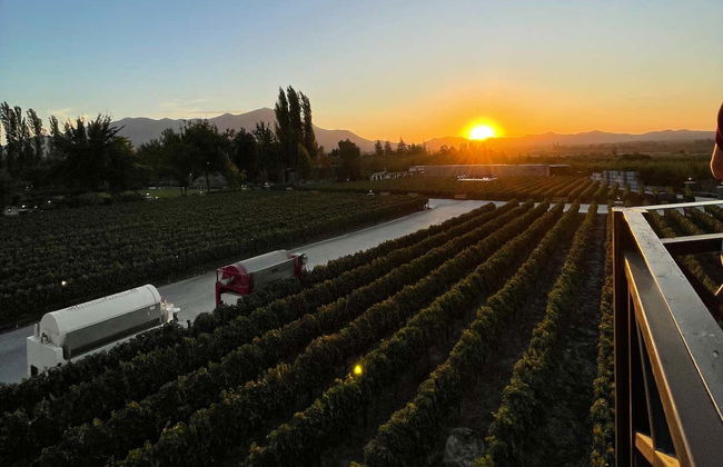 Excursión al viñedo Alyan al atardecer - Foto 4