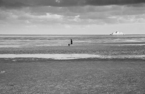 Wohnen am Südstrand - Ferienwohnung 1 4 - Foto 19