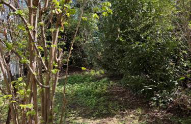 Greenhouse - Foto 27