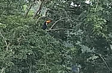 Nosso cantinho, Pedaço do paraíso na Natureza - Photo 37