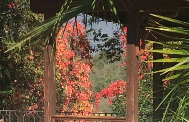 Podere San Lorenzo - Foto 21