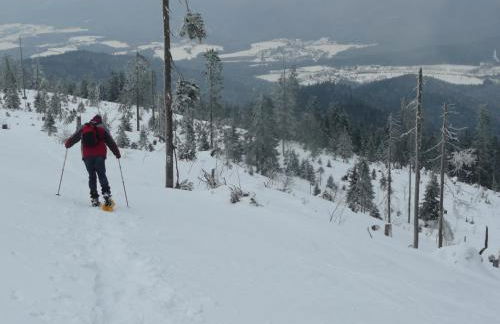 Ferienhaus Wellisch - Foto 18