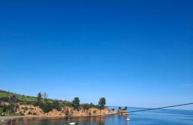 Agnanti Kotsikia - Foto 22