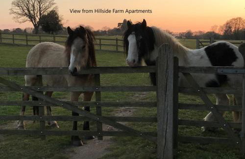 Hillside Farm Barn Apartments - Photo 51