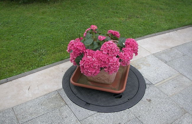 Komfort und Naturflucht, Lichtenhain - Foto 22