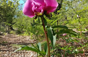 La Casa de Monica - Foto 40
