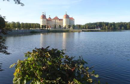 Ferienwohnung Erzgebirgswohnung Götze - Foto 66