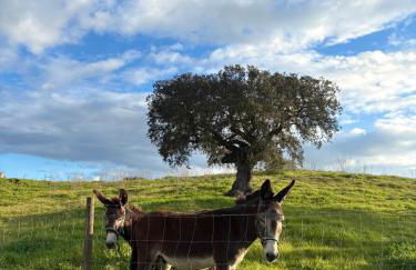 Monte dos Alpendres I Farmhouse - Foto 44