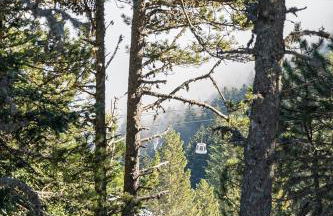 Le Petit Manoir - Foto 18