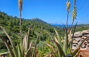 House Agava - Foto 41