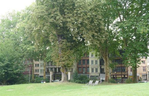 Studio jardin de l'hôtel de ville - Foto 19