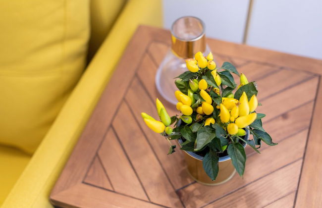 Apartamentos Fernão Ornelas - Foto 71