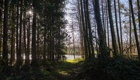 Nor67 Estate - Foto 3