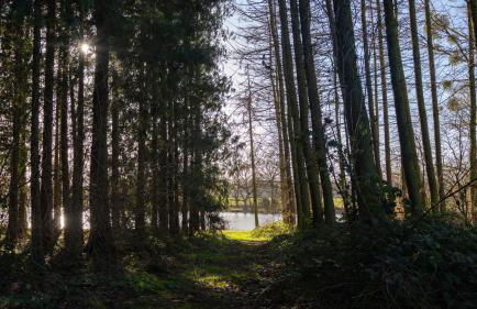 Nor67 Estate - Foto 3