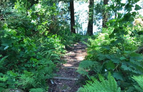 Silver Lake Cabin #7 - Lake Front - Ht - Pets Ok - Photo 23