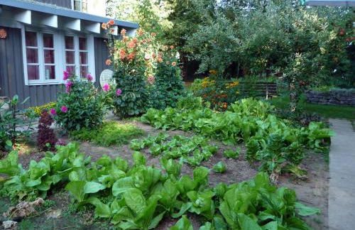 Ferienhaus Gartenlust - Foto 9