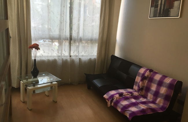 Santa Rosa Apartment, Santiago Downtown - Photo 7