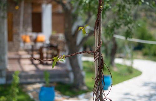 To Stolidi tis Psinthou - Foto 57