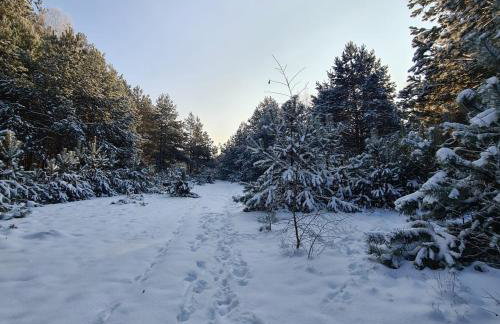 Domek pod Lasem - Foto 33