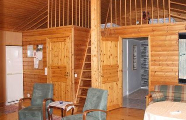 Keltavuokko - Foto 11