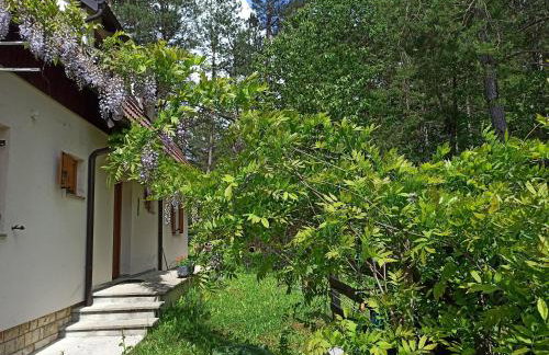 Plitvice Studio Apartments - Foto 17