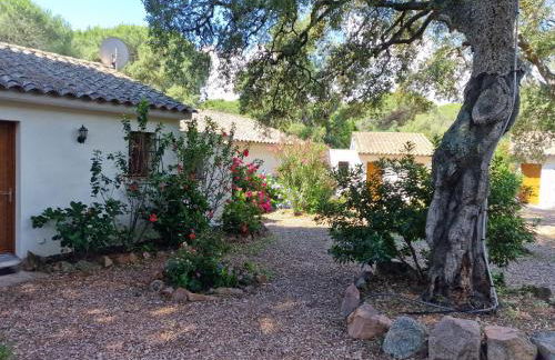 Studio pour 2 personnes à 700m de la plage de palombaggia - Foto 8