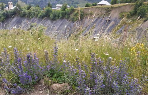 appartement edlweiss 4 pers dans gite"la maison d'augustin" classé 3 étoiles, la tour,73530 st jean d'arves - Foto 34