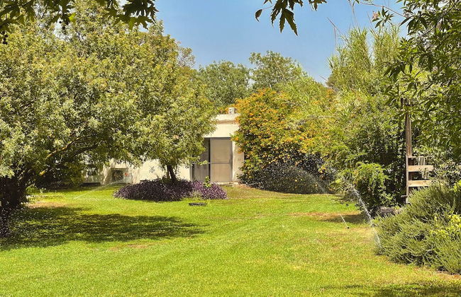 Nofey Habashan - Foto 76