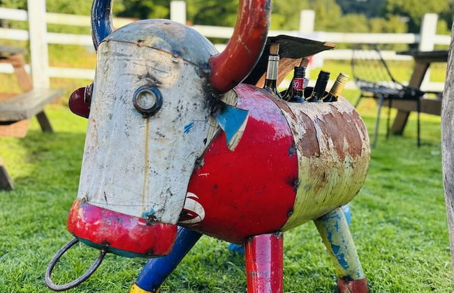 Ynys Arms - Photo 78