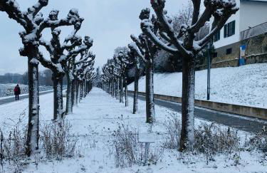 Nido Vela Appartement - Foto 49