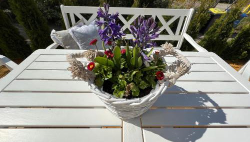 stilvolle Ferienwohnung Sweet Magnolia - Foto 4