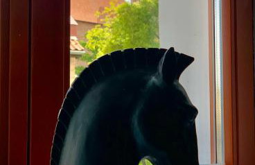 Apartamenty Krasicki - Foto 32