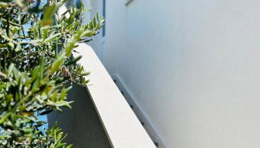 Apartment Rovci 2 - Photo 3