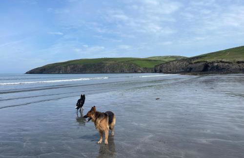 Rural, Secure Garden, Woodland Walks, 23 min to beach - Foto 32