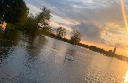 Stunning Classic Dutch Barge near Henley & Marlow - Foto 73