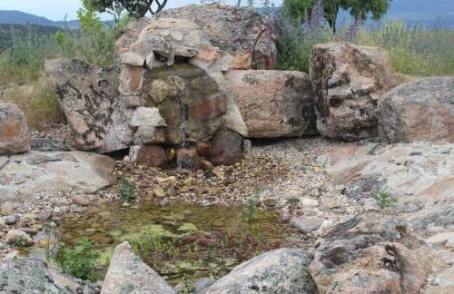 Finca el enebro - Foto 14